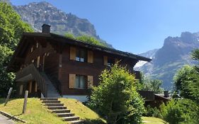 Apartment Chalet Sunneblick