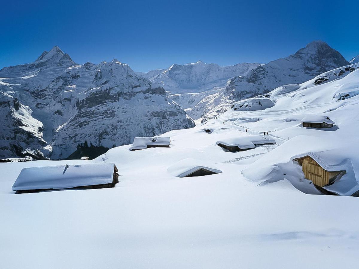 Apartment Chalet Sunneblick Grindelwald Exterior foto
